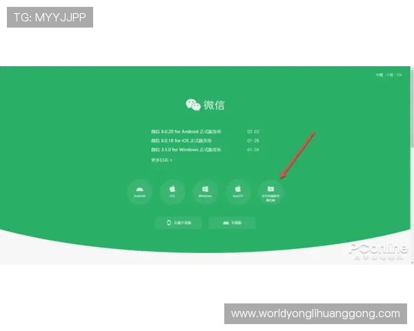 永利手机网址最新入口地址,确保用户顺利登录永利手机平台体验 永利手机网址最新入口地址,确保用户顺利登录永利手机平台体验