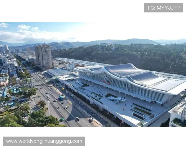 永利澳门官网入口多渠道登录支持，满足不同用户的多样化需求