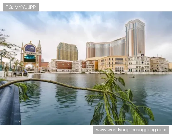 澳门威尼斯人网站投注最新优惠政策，丰富奖励助力玩家轻松赢取大奖