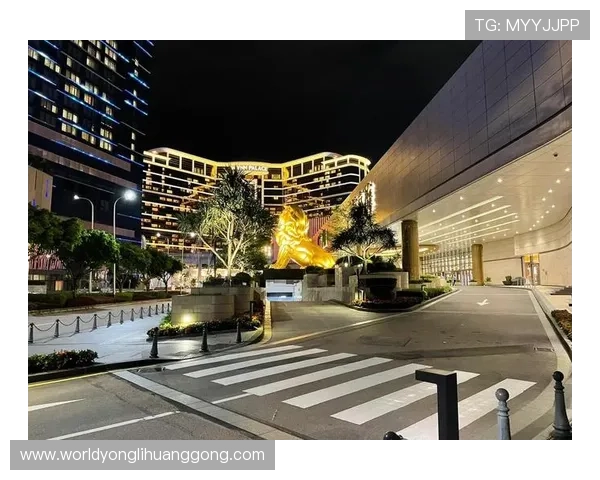 澳门比较有名的赌场在夜晚的灯光秀和娱乐表演带来的震撼体验 澳门比较有名的赌场在夜晚的灯光秀和娱乐表演带来的震撼体验