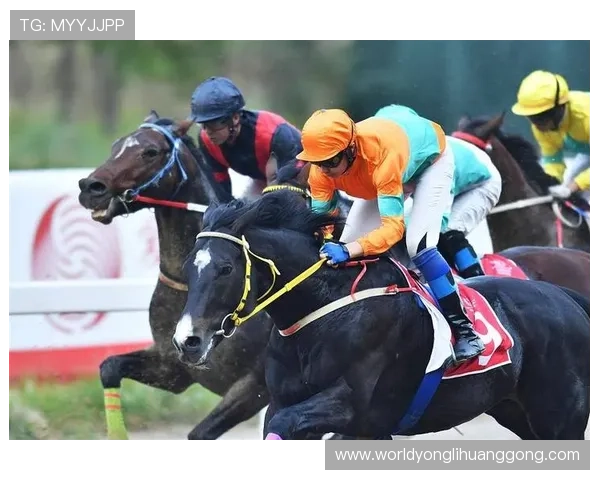 2024年澳门赛马时间表全攻略，帮助马迷提前掌握每周赛马时间与赛事亮点