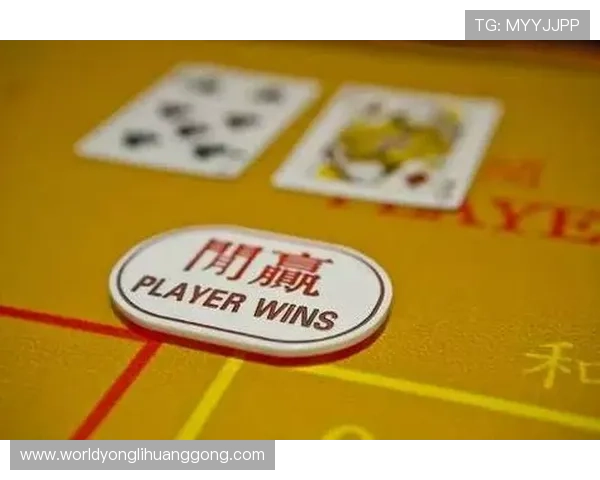 新濠国际官网最新安全技术应用保障玩家账户信息安全与交易安全