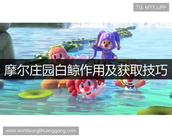 永利客户端网页版全面功能介绍及操作技巧让新手快速上手游戏流程