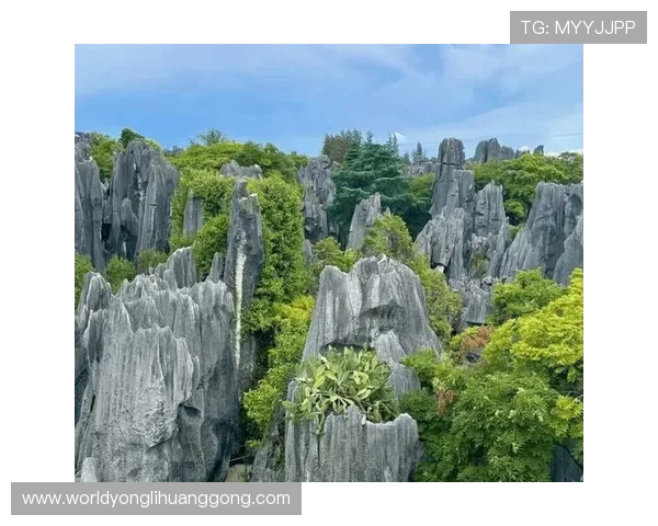 蒙罗丽莎娱乐场注册流程与新手指南帮助新玩家顺利开启游戏之旅